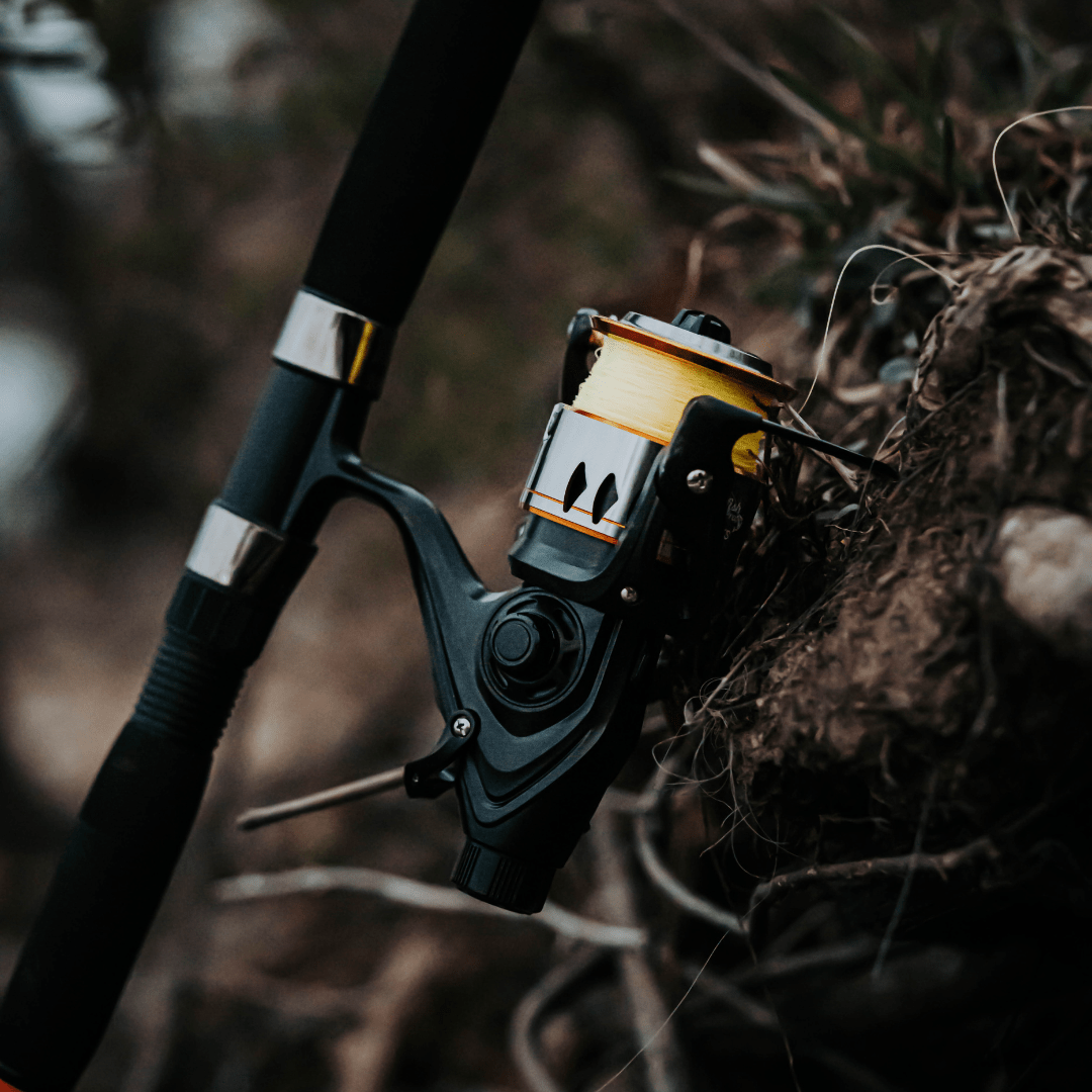 600STS Spinning Reel