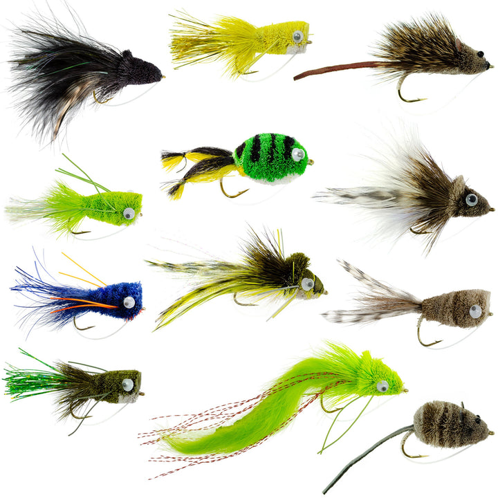 Bass Bug Collection – 12 Fly Fishing Flies, Sizes 2-8