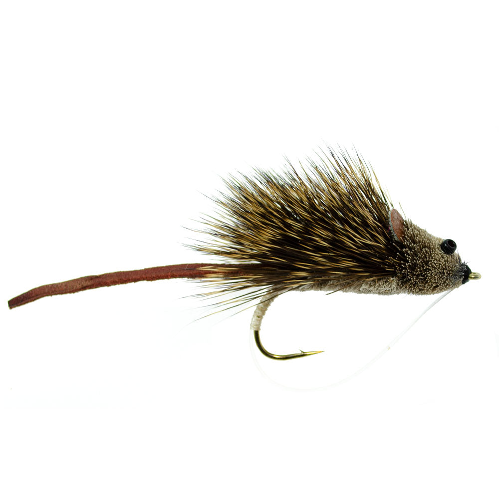 Bass Bug Collection – 12 Fly Fishing Flies, Sizes 2-8
