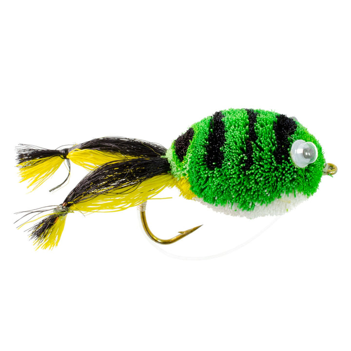 Bass Bug Collection – 12 Fly Fishing Flies, Sizes 2-8